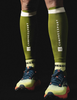 COMPRESSPORT Opaski kompresyjne na łydki R2V3 woodbine/white reflect